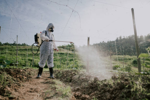 Best Affordable Pest Control Services  in Brodhead, KY