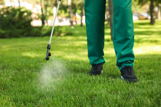 Best Ant Control Services  in Brodhead, KY