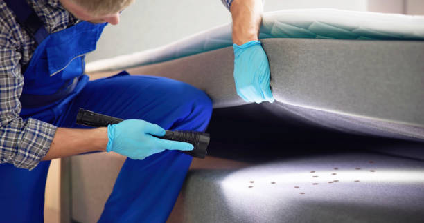 Pest Control for Restaurants in Brodhead, KY