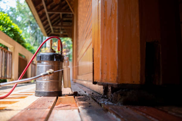 Best Pest Prevention Services  in Brodhead, KY