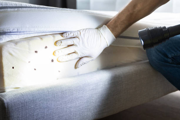 Best Pest Inspection Near Me  in Brodhead, KY
