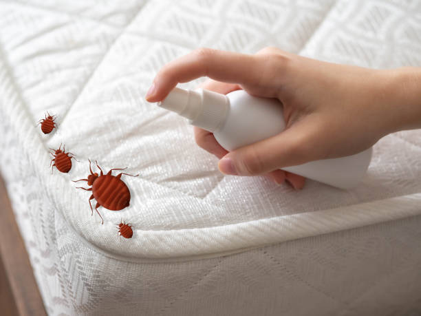 Best Residential Pest Control  in Brodhead, KY