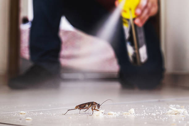 Pest Control Cost in Brodhead, KY