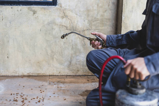Best Best Pest Control Companies  in Brodhead, KY